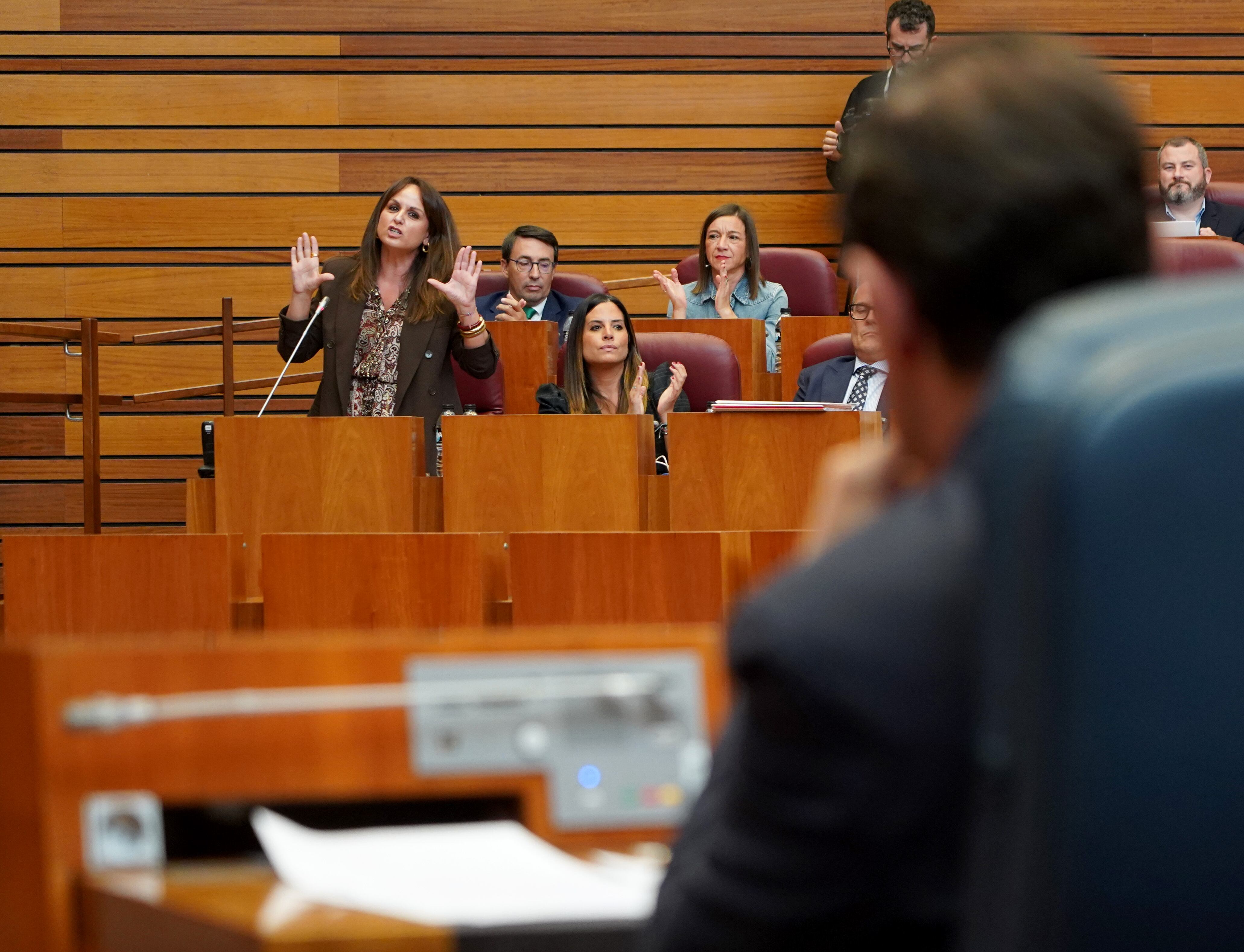 Primera sesión del pleno de las Cortes de Castilla y León, que comienza con las preguntas de control al Ejecutivo.