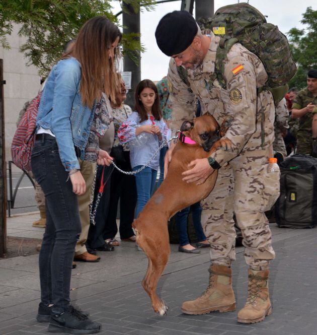 Uno de los militares de regreso recibido por sus familiares y por su mascota