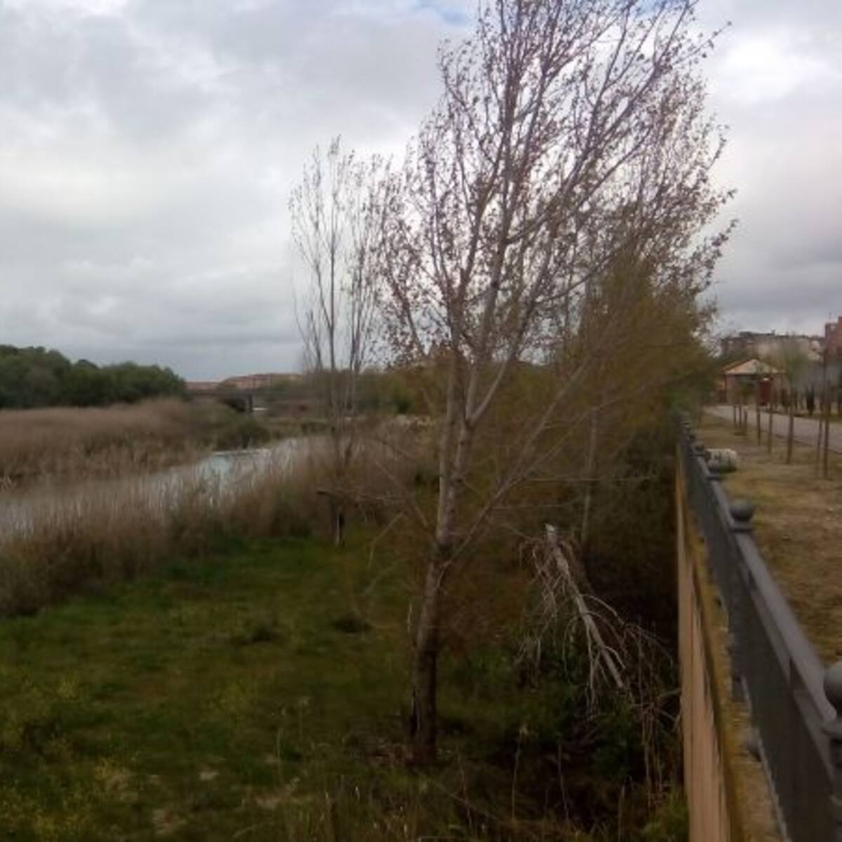 La Plataforma tacha de sumamente injusto que el nuevo Gobierno apruebe otro trasvase