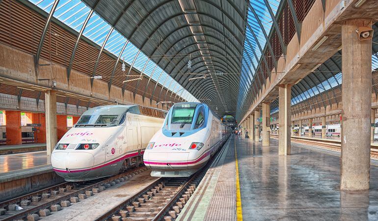 Renfe garantizará los servicios mínimos en todos sus trenes.