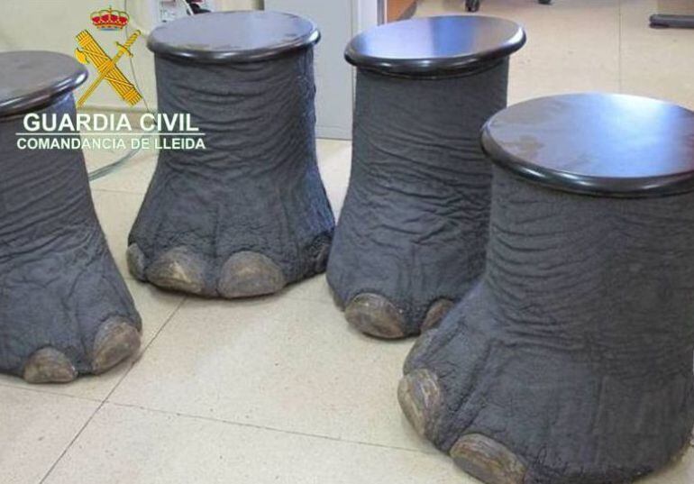 Imatge de les quatre potes d'elefant africà recuperades pel Seprona. 