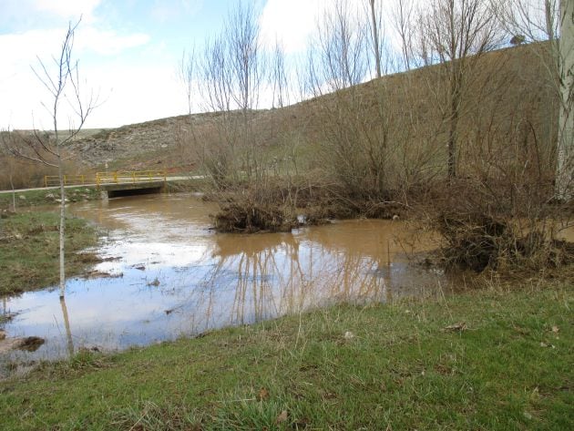 Río Dulce a su paso por Jodra del Pinar.