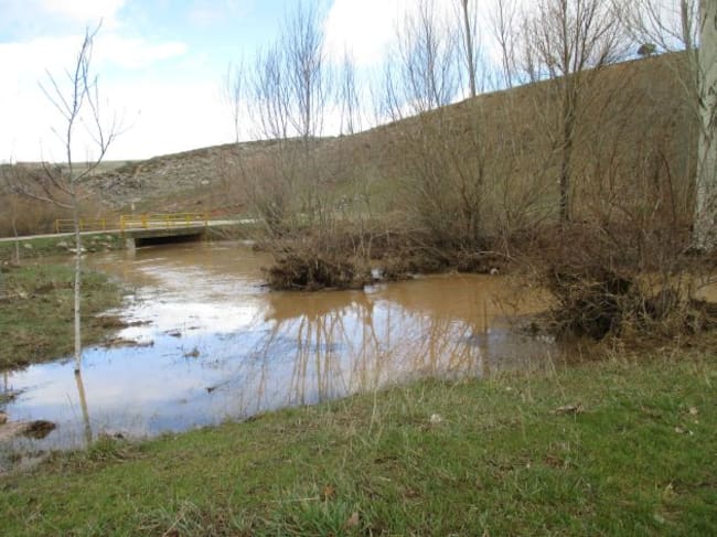 Río Dulce a su paso por Jodra del Pinar.