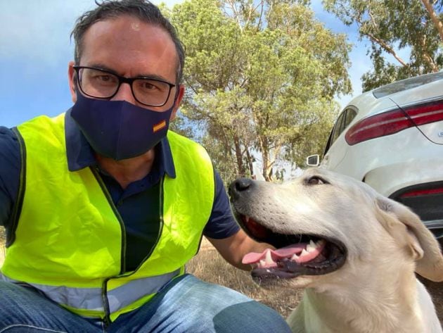 Tina, la labradora protagonista de la historia