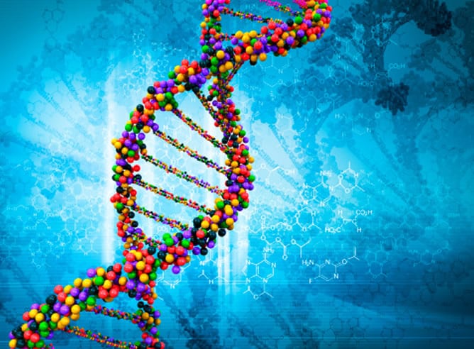 El Tribunal Supremo de EEUU ha sentenciado que los genes humanos no pueden ser patentados, con el argumento de que son productos de la naturaleza