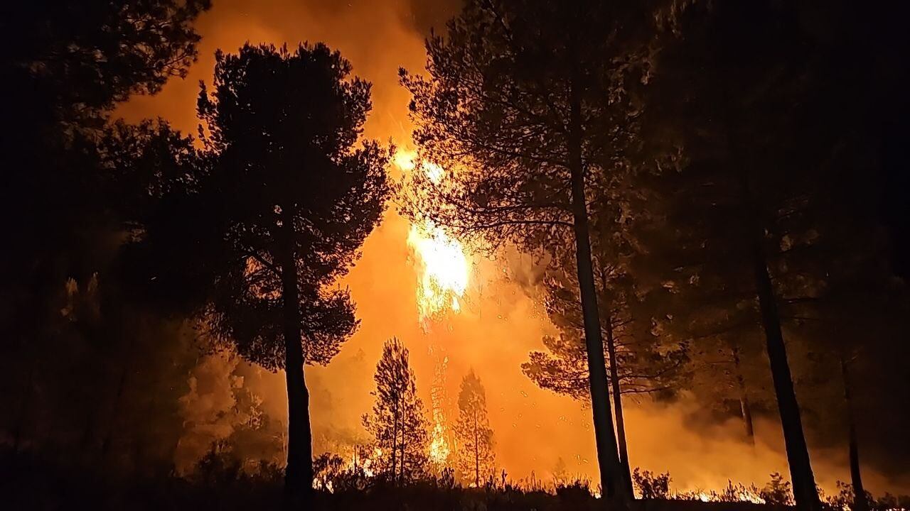 Incendio forestal en Cehegín