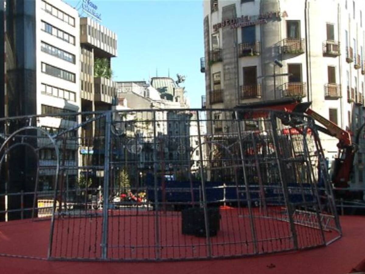 El árbol navideño comienza su cuenta atrás