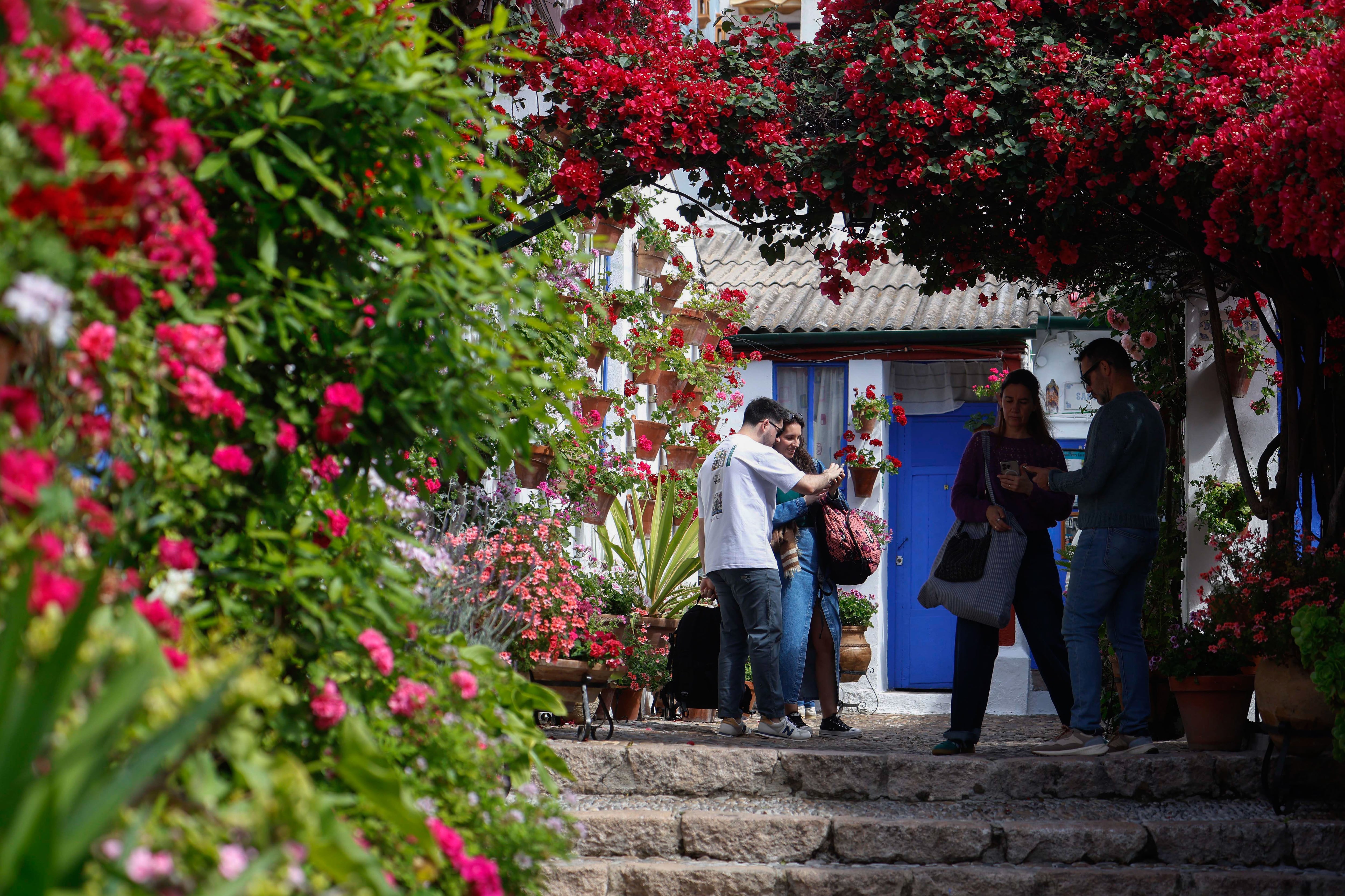 CÓRDOBA, 09/05/2025.- Varias personas disfrutan del Festival de Patios cordobeses, este viernes. El Festival de Patios cordobeses ha superado ya, tras el cuarto día de apertura de estos recintos, cuya forma de vida está declarada por la Unesco como Patrimonio de la Humanidad, el cuarto de millón de visitas. EFE/ Salas