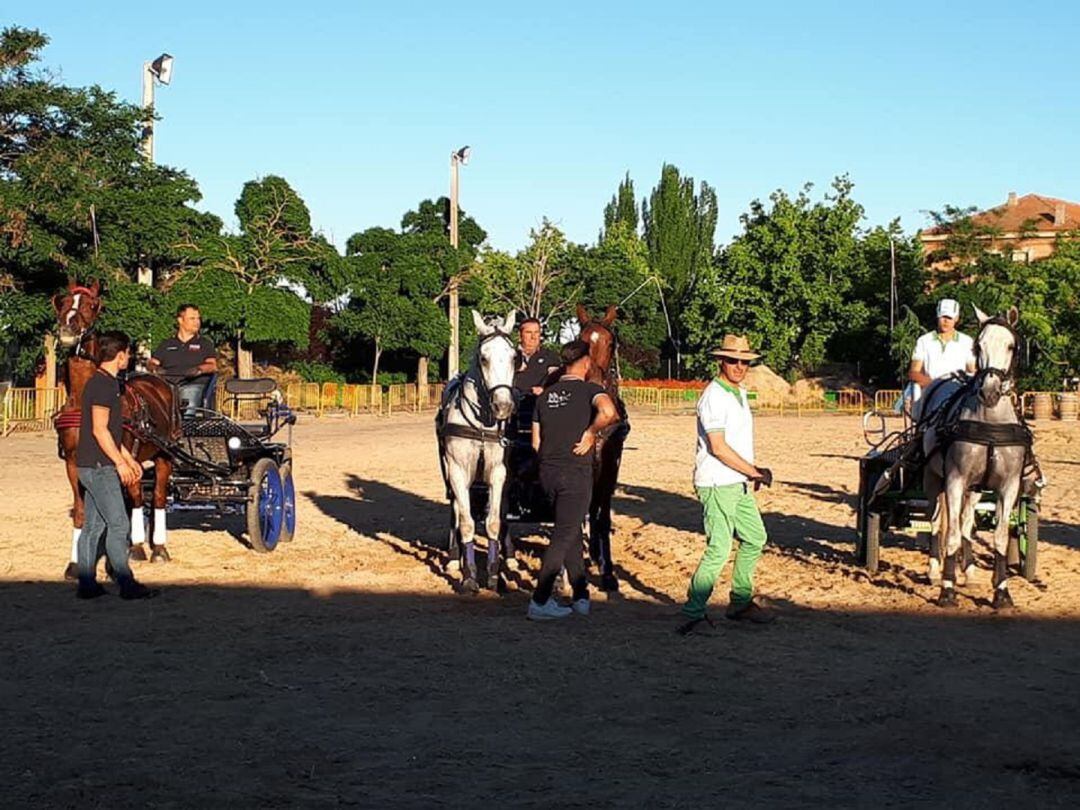 Una exhibición ecuestre en la Feria del Caballo 