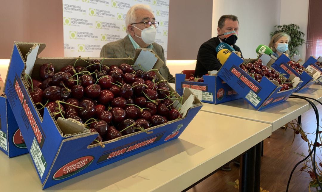 De izquierda a derecha, el presidente de Cooperativas Agroalimentarias, Higinio Castellano, el diputado de Agricultura, Pedro Bruno, y la presidenta de la cooperativa &#039;San Marcos&#039;, Ana Fernández.