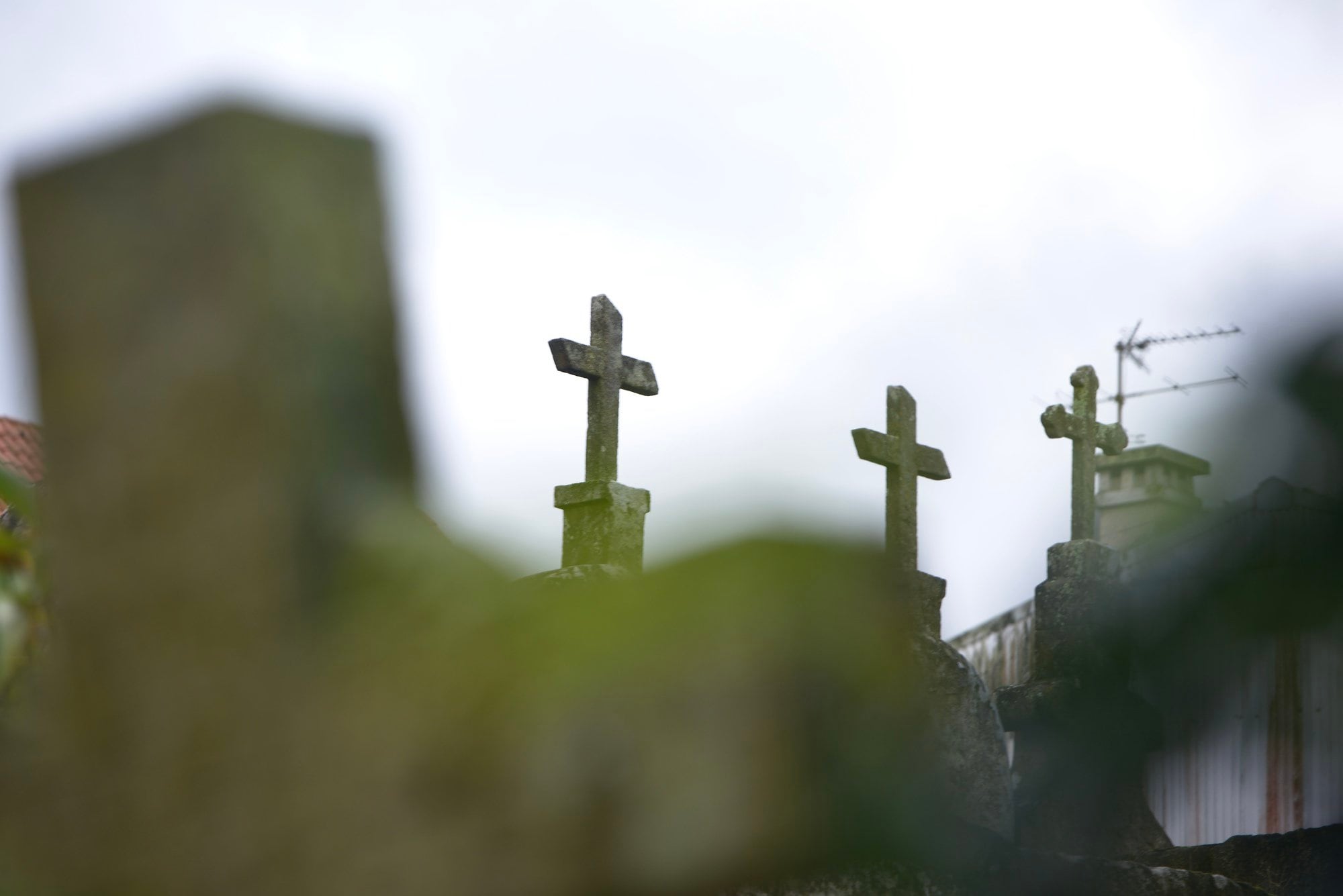 Cruces en el cementerio de Os Eidos, en Redondela, Pontevedra, Galicia (España)