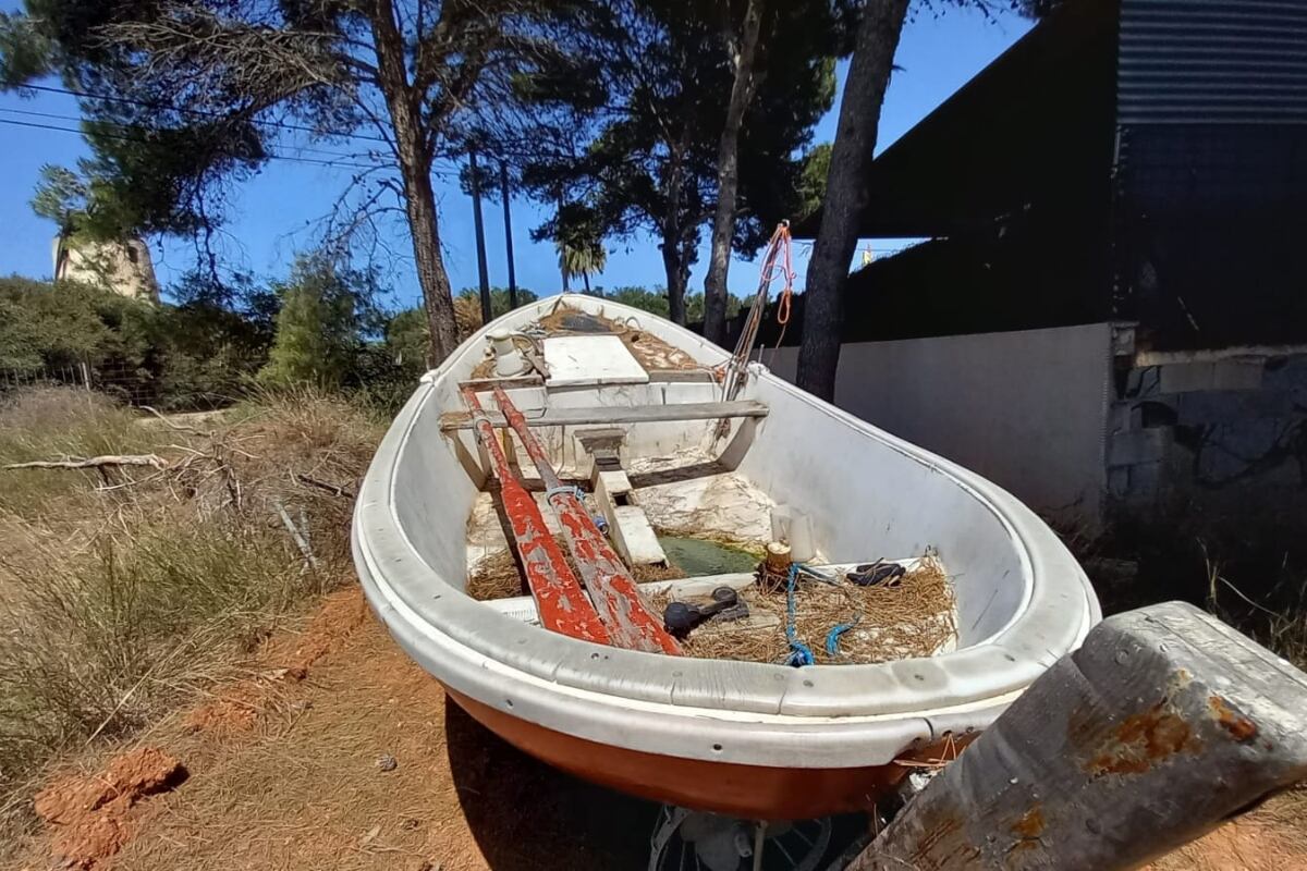 Cartagena refuerza el control del mosquito tigre ante el aumento de focos en parcelas privadas