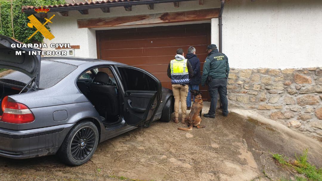 Un perro adiestrado, de la Policía Local de Arenas de San Pedro, ayudó a localizar la droga