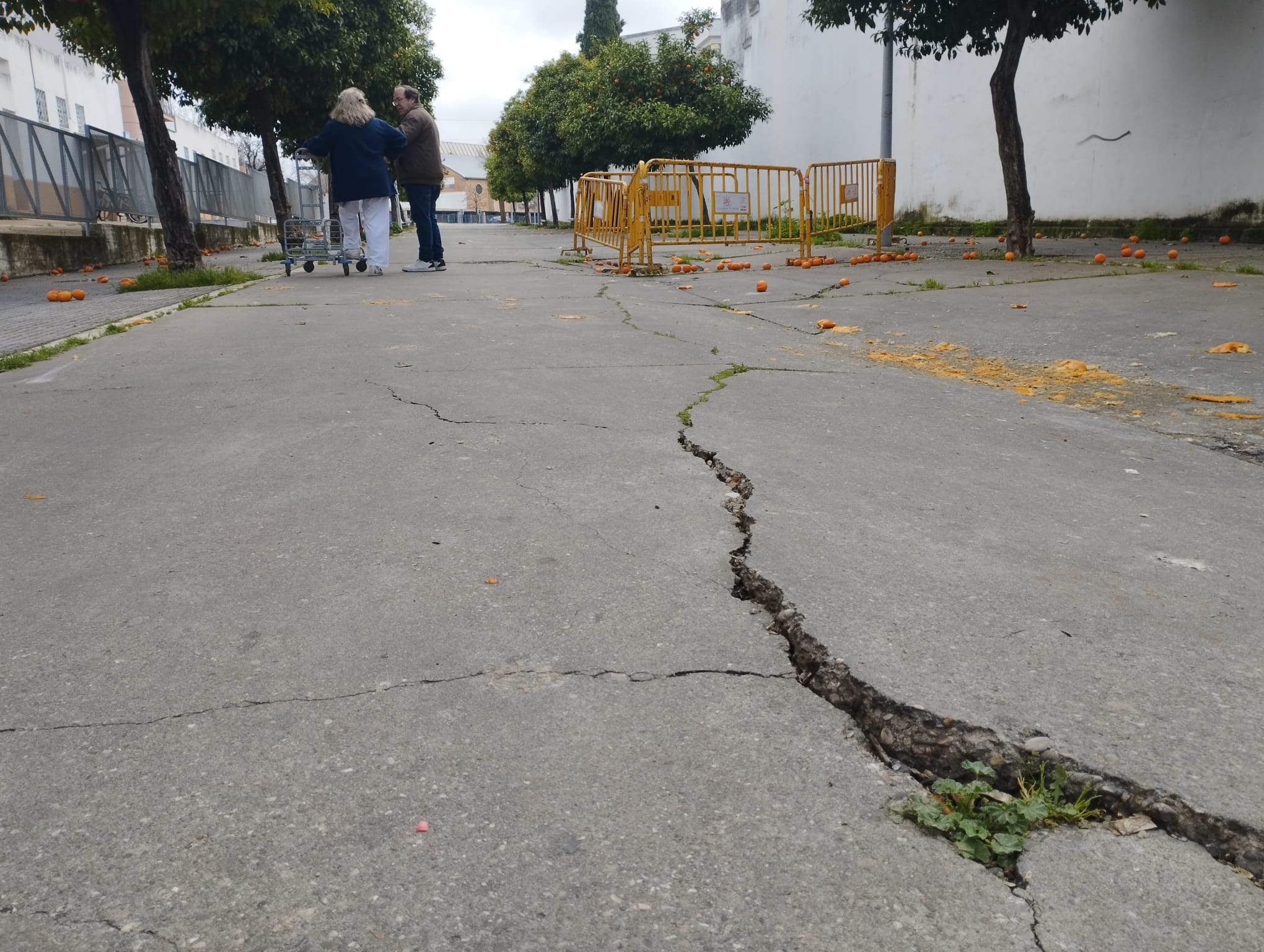 Grieta en el barrio del Guadalquivir por problemas con el arroyo de la Miel.