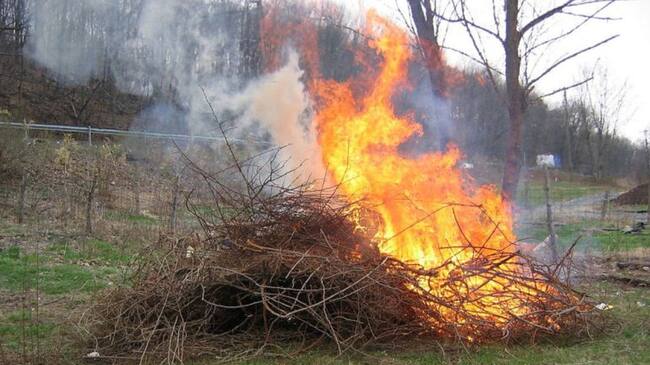 Plan de Quemas de Elda