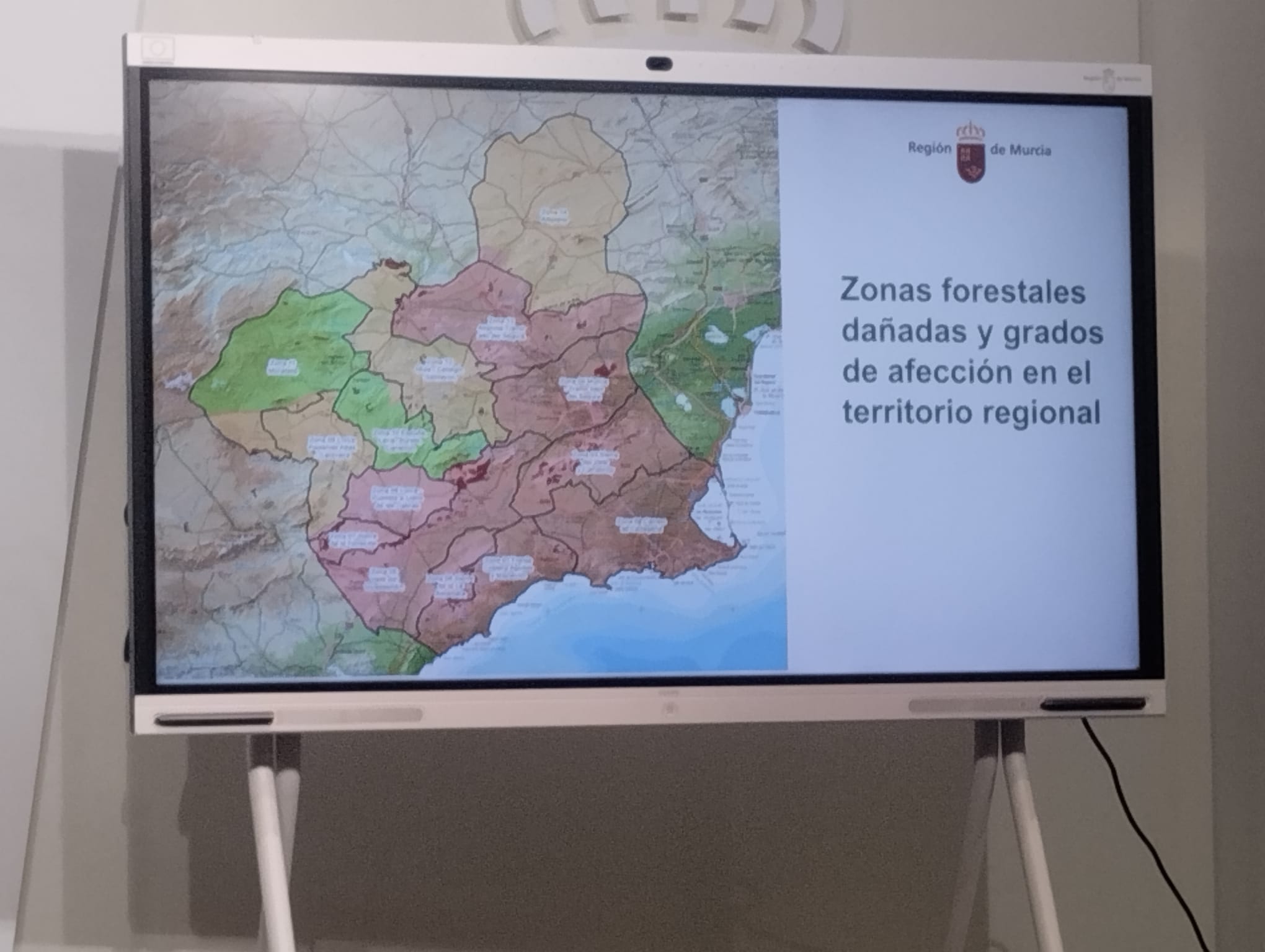 Terreno forestal afectado por la sequía