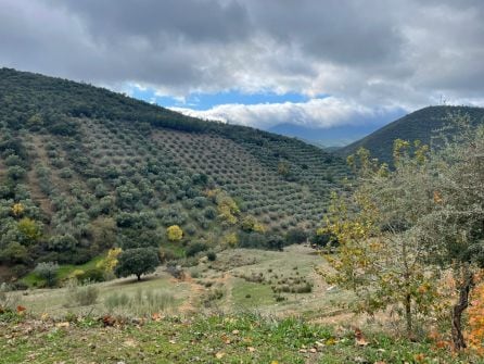 Vistas desde uno de los vallejos de Solana del Pino