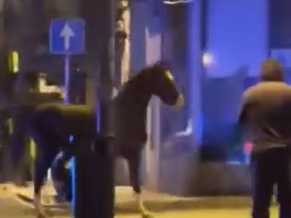 Un caballo se escapa y trota solitario por el centro de Vigo
