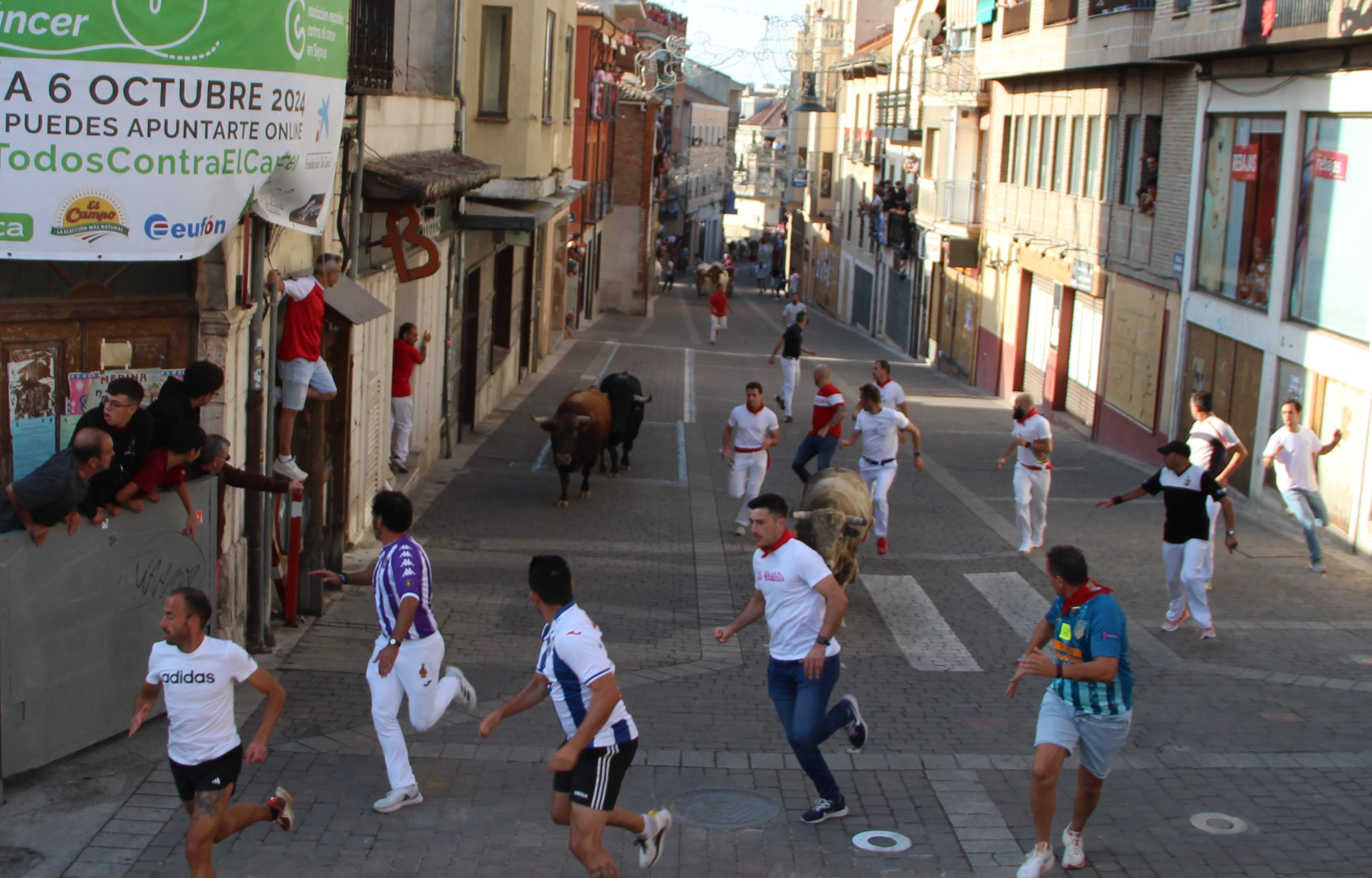 Toros de Nuñez del Cuvillo ascienden por la calle Parras en el cuarto encierro de Cuéllar