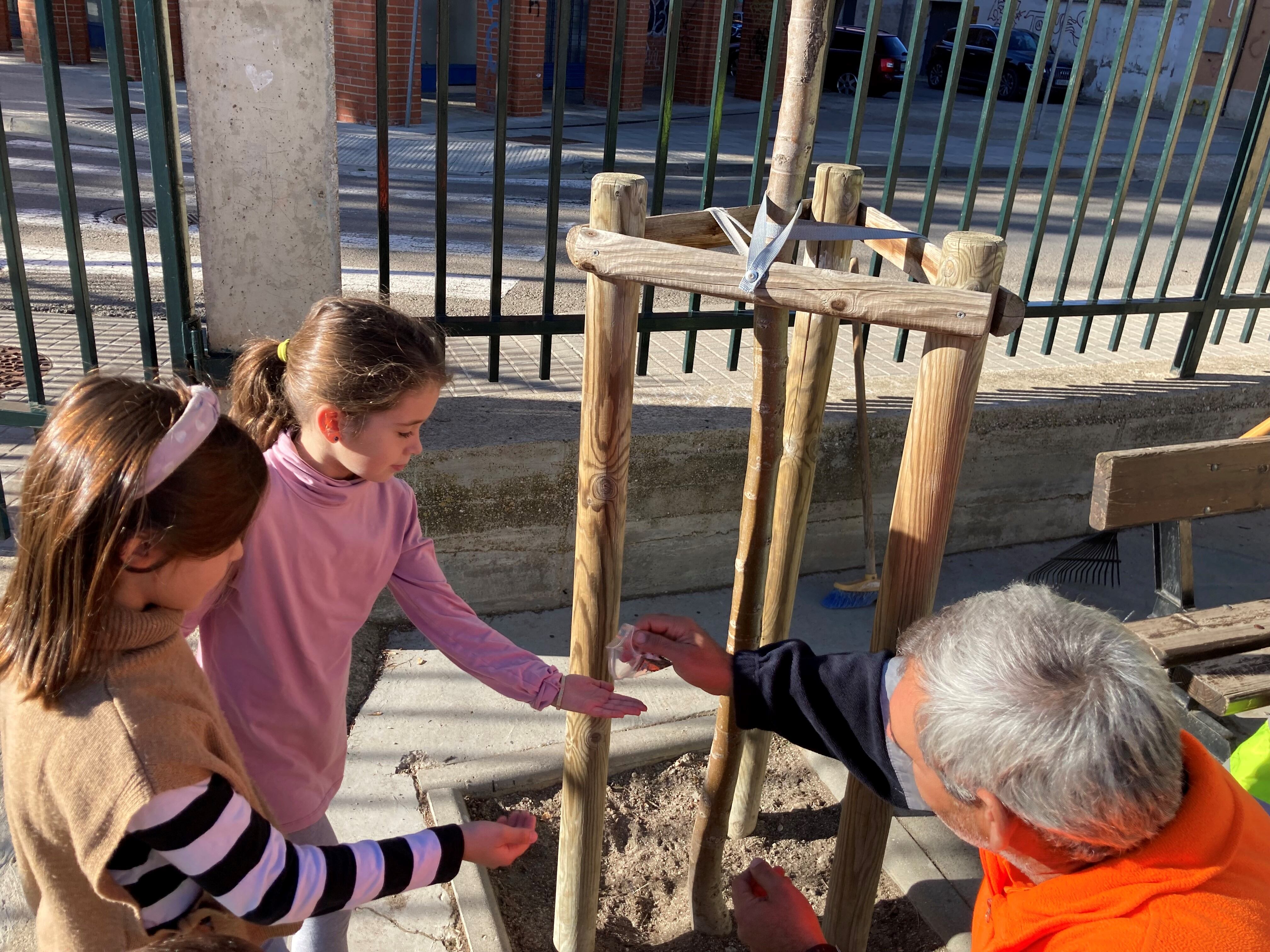 Niños y niñas de Juan XXIII sembraban los alcorques del patio