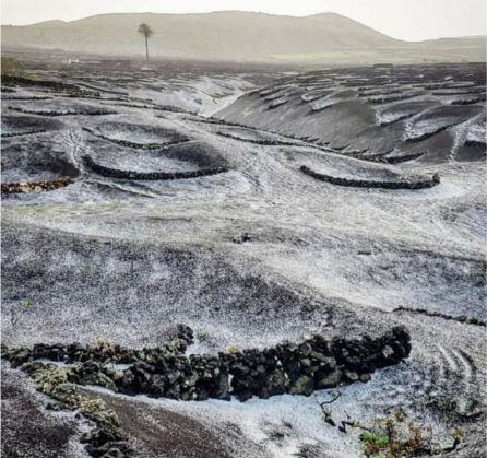 La Geria, en Lanzarote, cubierta por el granizo caído este sábado.