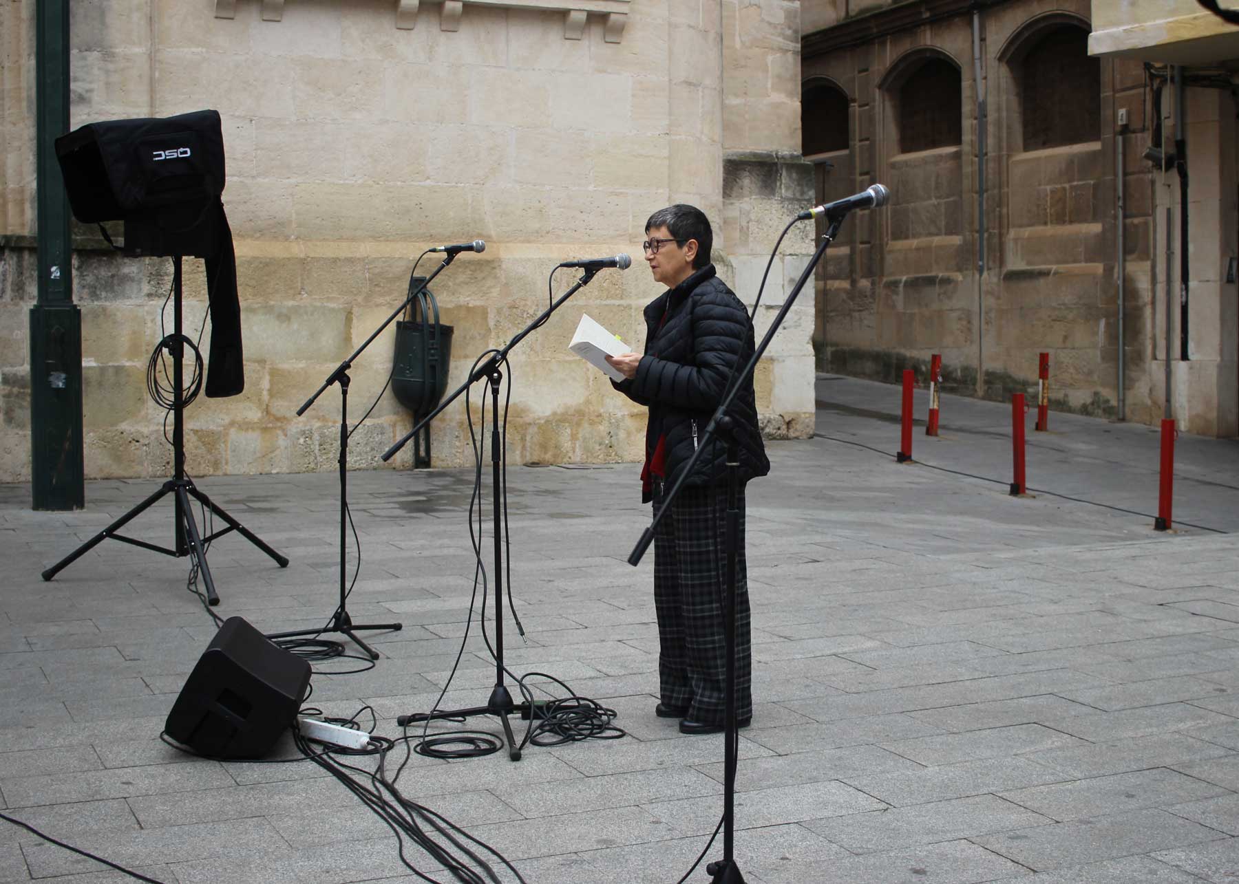Ester Vizcarra, una de les persones que es va sumar a l'acte recitant un poema de Joan Valls
