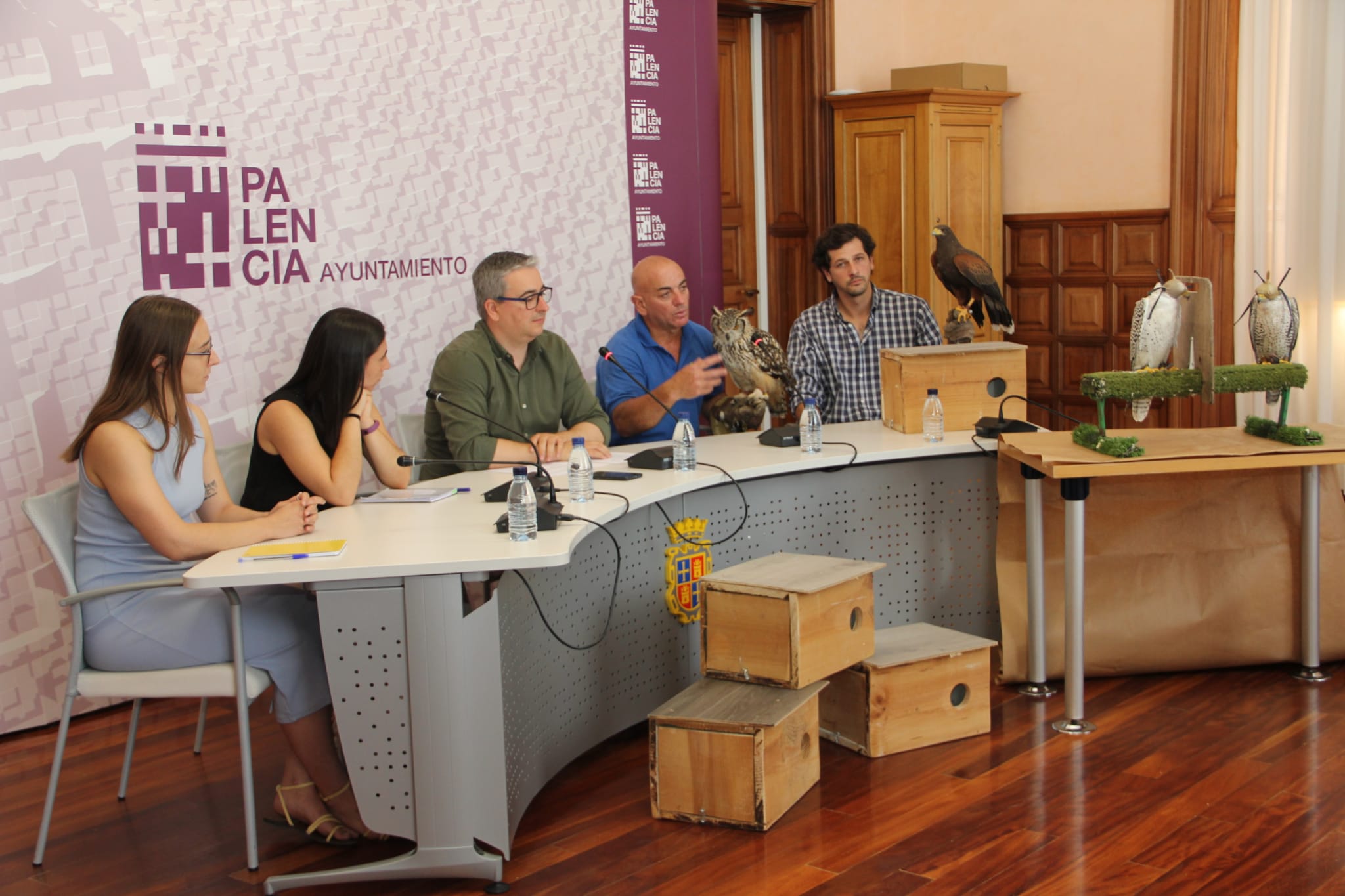 Aves rapaces sobrevolarán diferentes puntos de la ciudad para hacer frente a la plaga de palomas