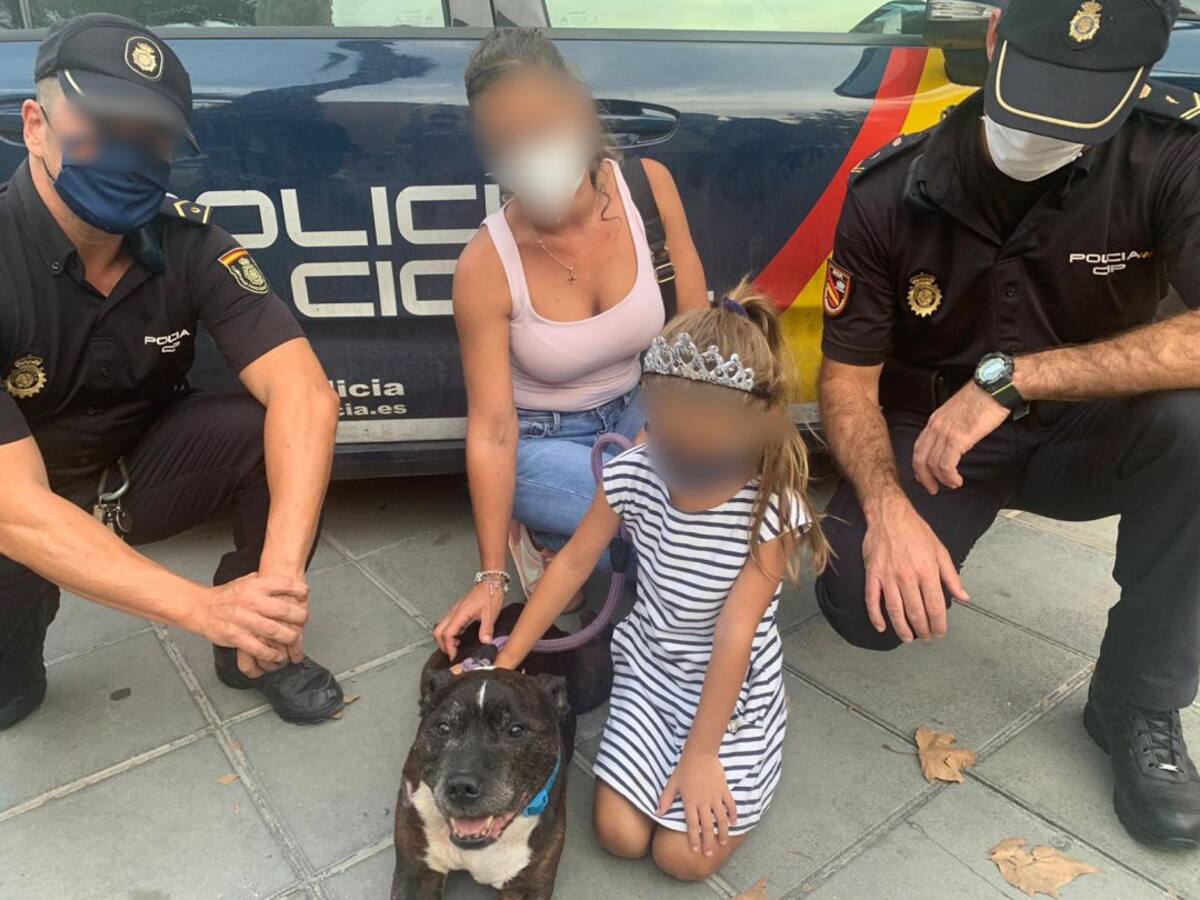 Detenido por atropellar a un perro tras una discusión de tráfico con sus dueños en Alicante