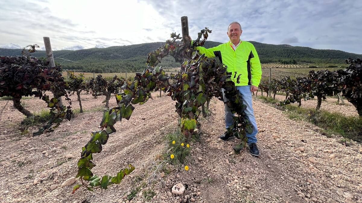 "Viñas y Relatos", con Rafa Poveda: La Influencia de las Fases Lunares en los Cultivos