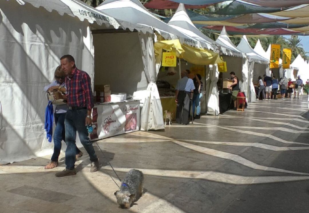 Fireta del Camp d’Elx