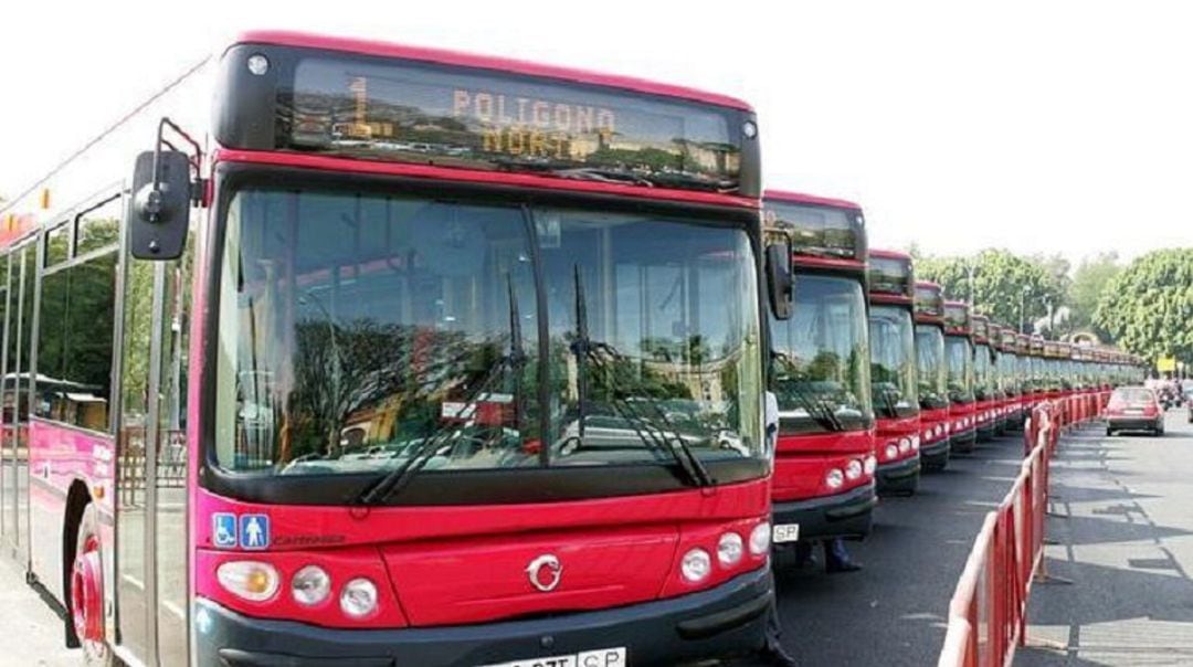 Autobuses de Tussam 