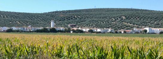 Pedanía de Vegas de Triana