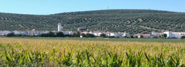 Pedanía de Vegas de Triana