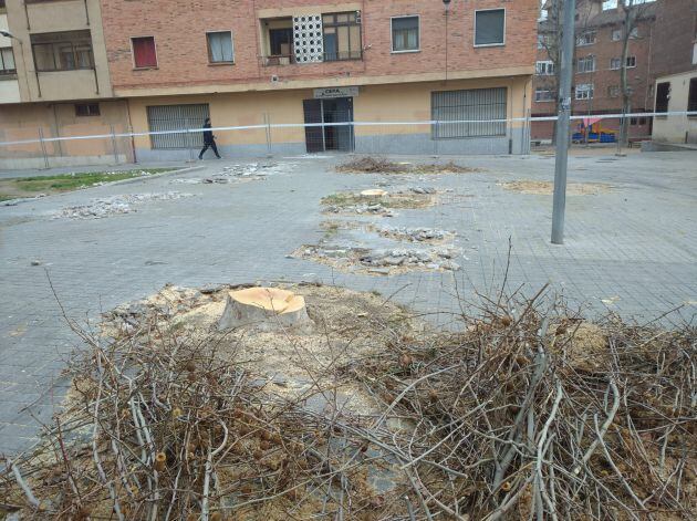 Las obras en la zona incluyen el derribo algunos árboles que serán reemplazados