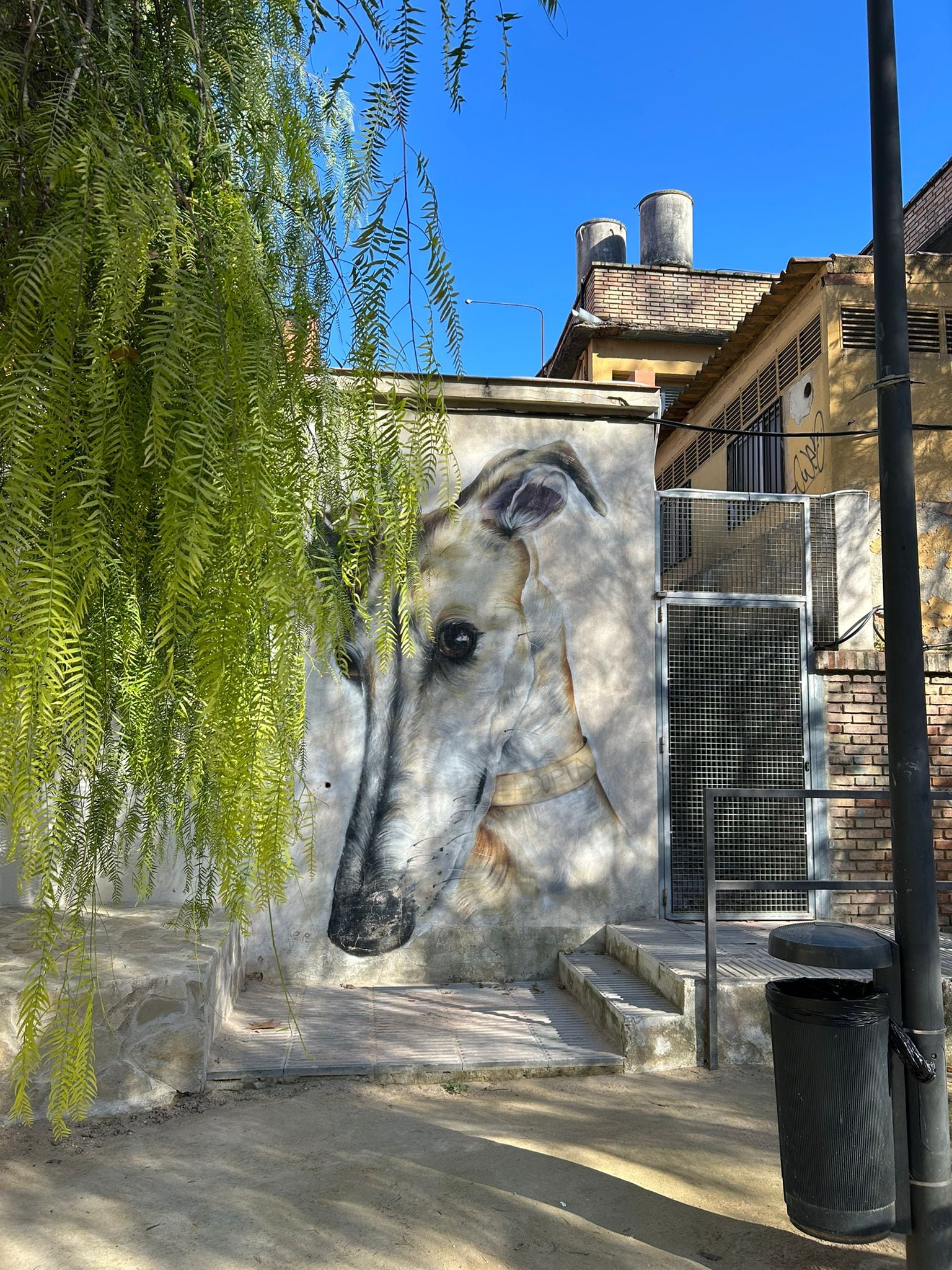 El mural del galgo, hecho por Sake, en el pueblo cordobés de Baena.