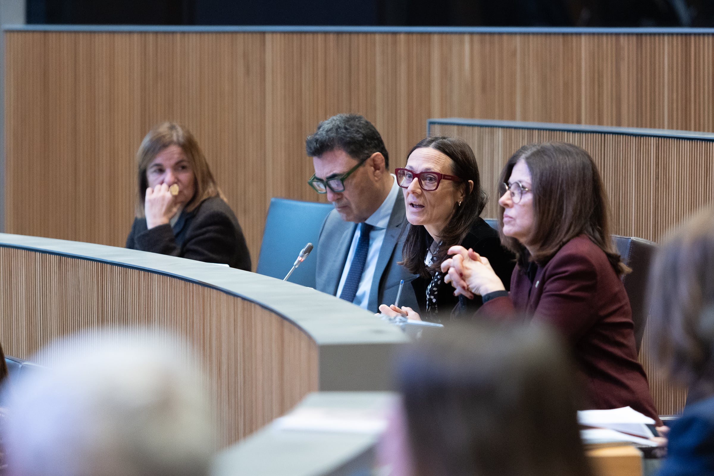 La ministra de Justícia i Interior, Ester molné, en seu parlamentària