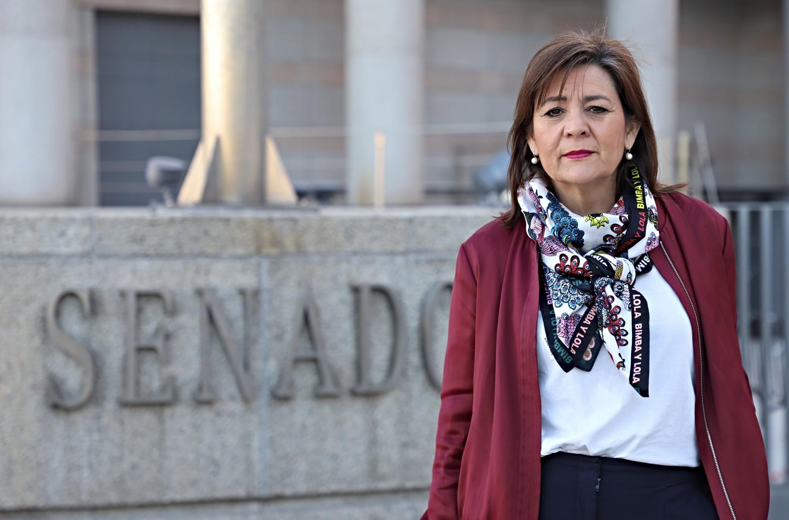 Rosa Aldea, senadora socialista por Palencia