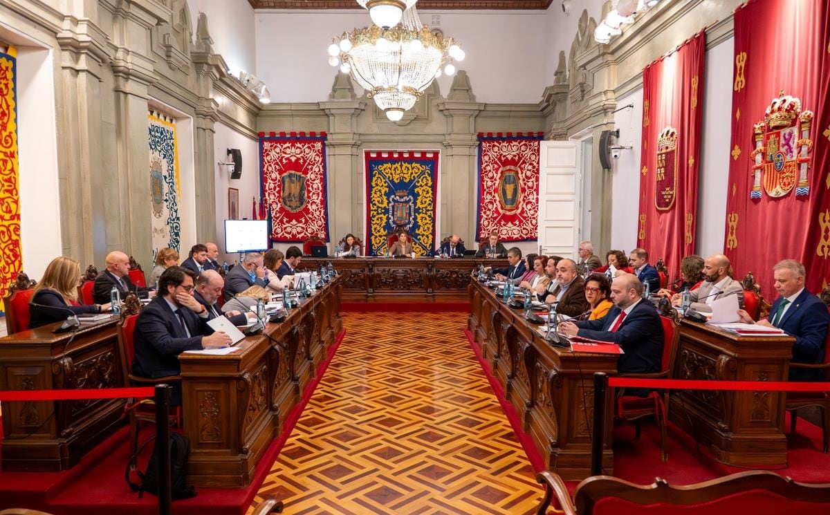 El Pleno de Cartagena respalda al personal del Santa Lucía y da luz verde a una batería de mociones