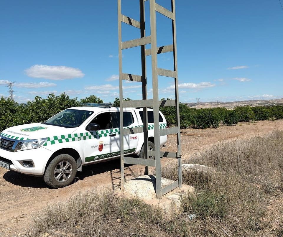 Agentes medioambientales inspeccionan los apoyos eléctricos ubicados en zonas sensibles de la Región de Murcia.