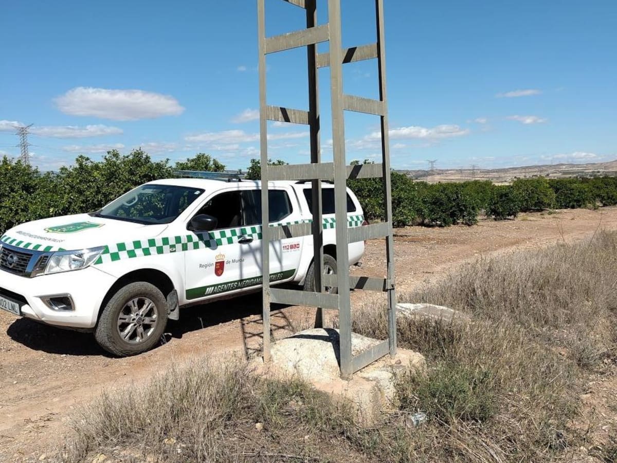 Agentes medioambientales revisan más de 1.000 apoyos eléctricos para proteger la fauna silvestre de la Región de Murcia