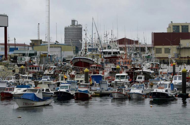 Puerto pesquero de Burela, con la flota amarrada