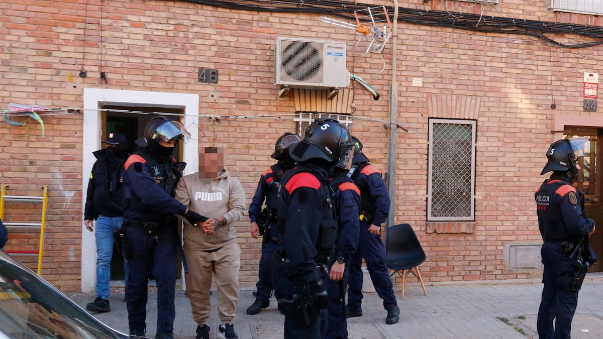 Presó per a cinc dels onze detinguts a Lleida en un dispositiu contra el tràfic de marihuana i armes