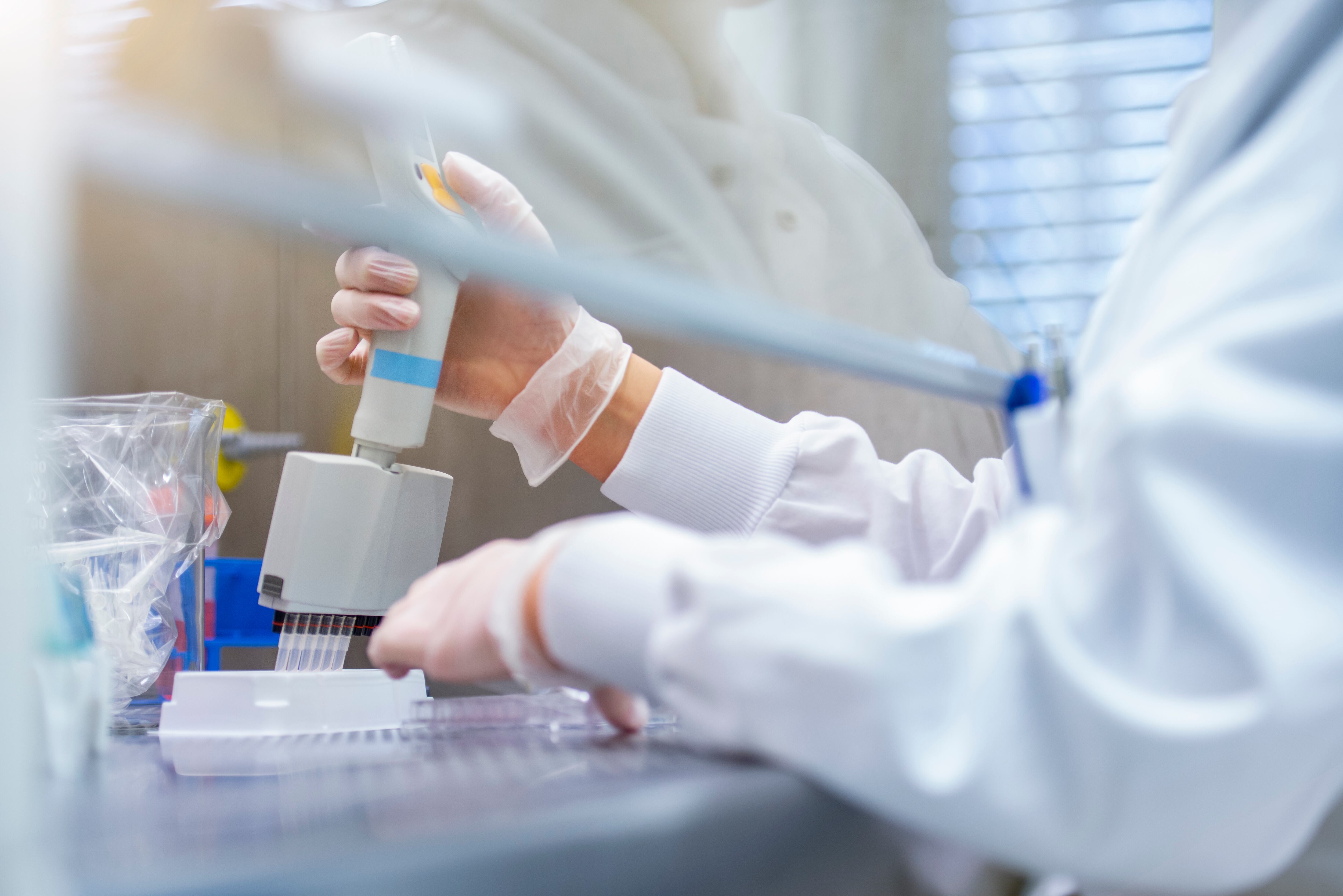 Germany, bavaria, munich, Pipettierung,Virentest; DNA; Genanalyse, mRNA Therapie, Agarose-Sequenzierungsgel, coronavirus, covid19, Labor,Erbkrankheiten,Testergebnis, Virologie, MINT, Biologie, Chemie, Naturwisschenschaften, Forschung, Medizin, Pandemie, Impfung, Wissenschaftliches Experiment, Analyse, Heilung