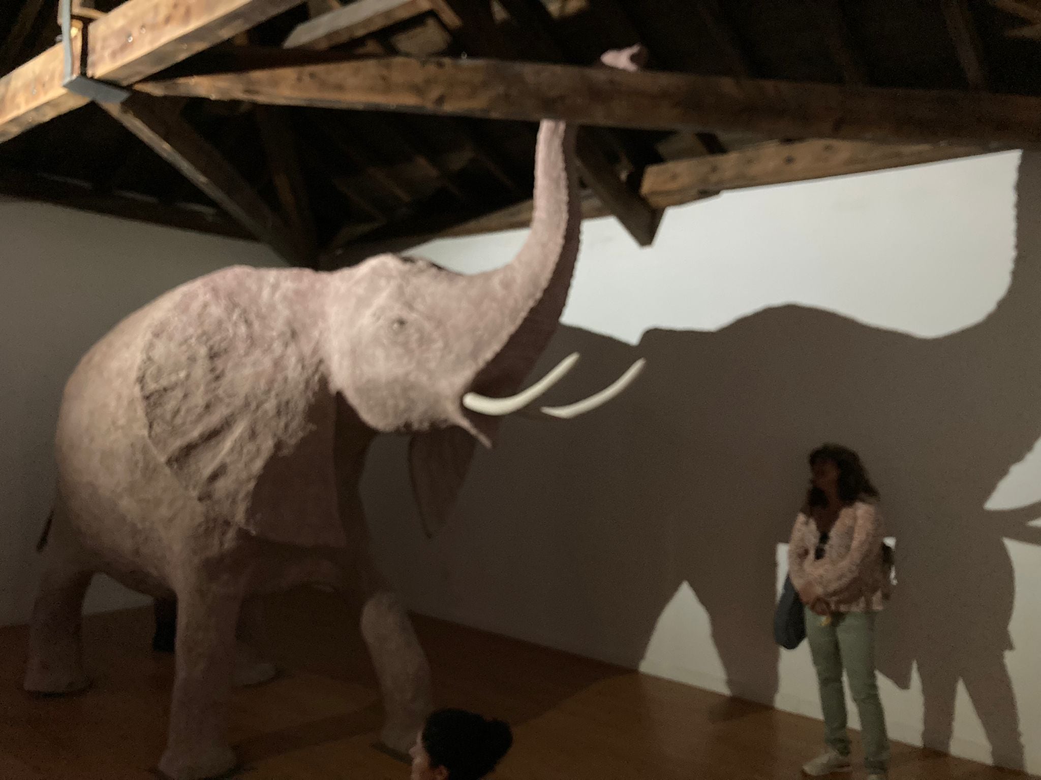 Noche de Ronda Aranda 2023: Exposición colectiva &quot;Como elefante en cacharrería&quot; Museo de Cerámica