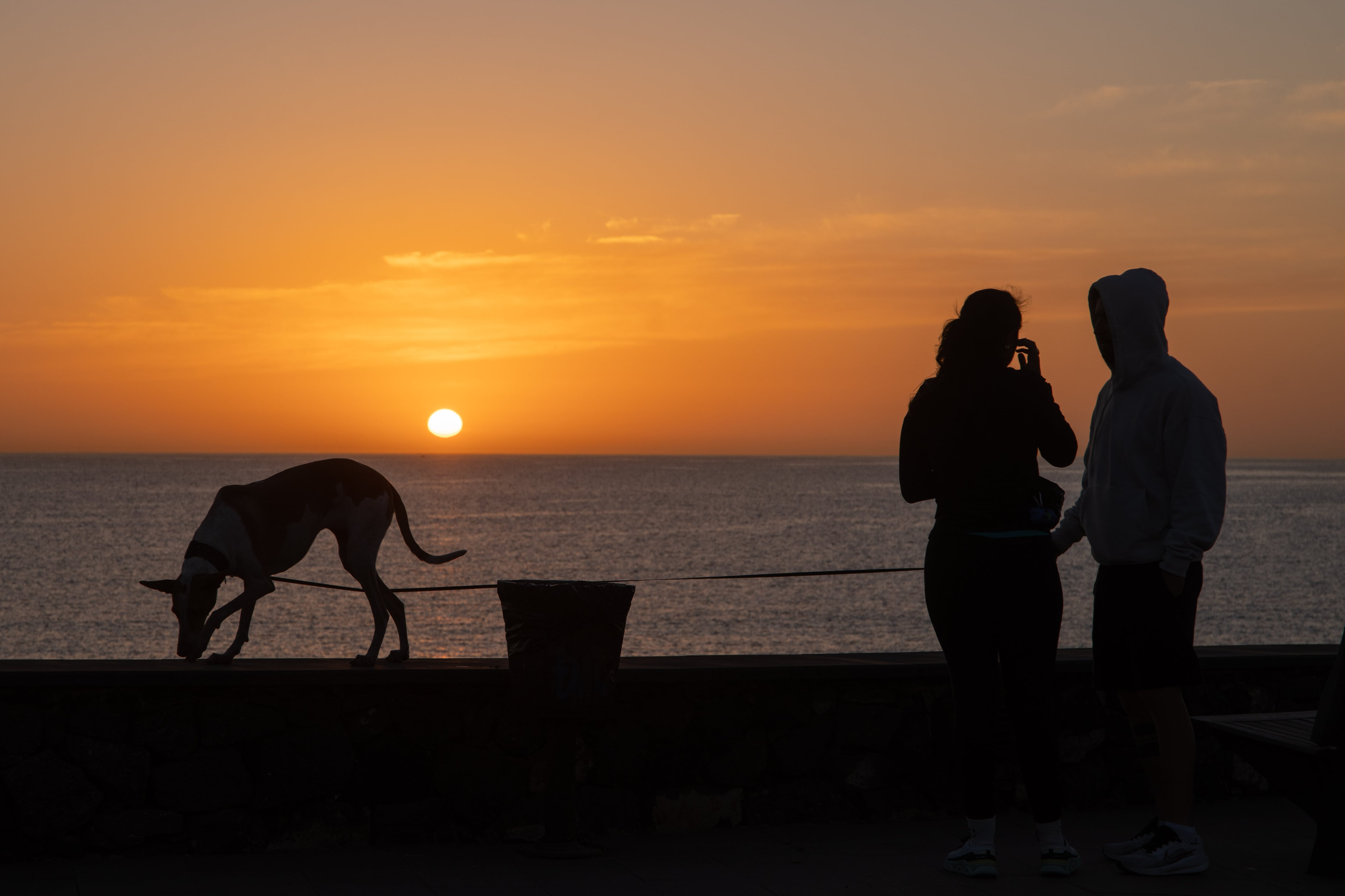 FOTODELDÍA. EFE/Carlos de Saá