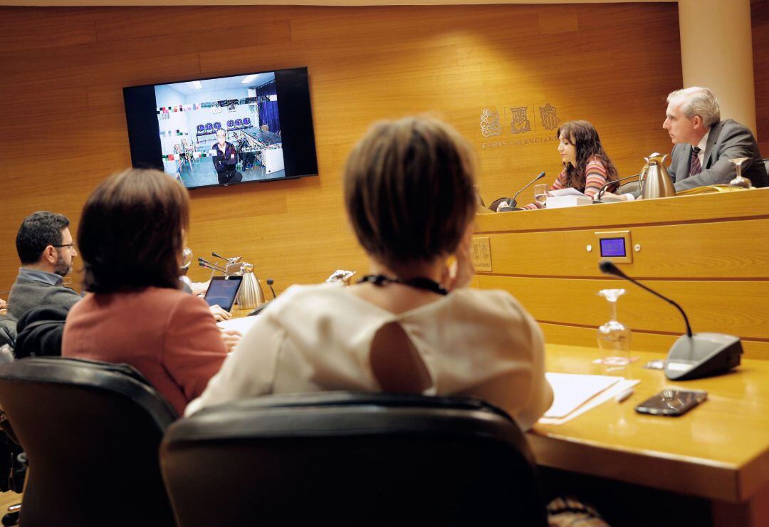 Álvaro Pérez, el Bigotes, durante su declaración por videoconferencia desde la cárcel en la comisión de investigación de Les Corst Valencianes