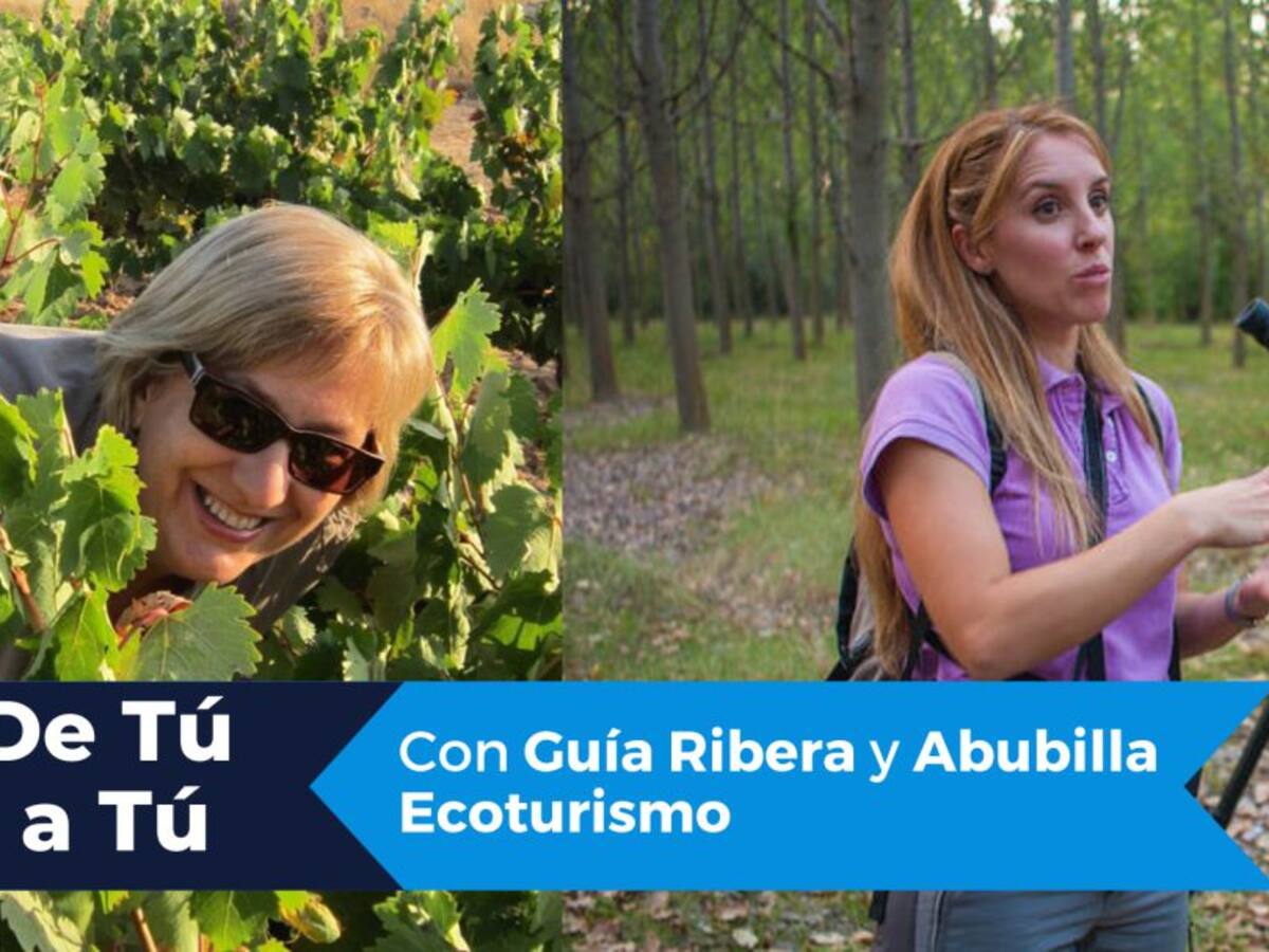 De tú a tú: Guía Ribera y Abubilla Ecoturismo