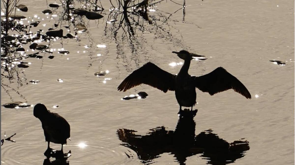 HOY POR HOY ZARAGOZA Y EL DÍA DEL MEDIOAMBIENTE (11/06/24)