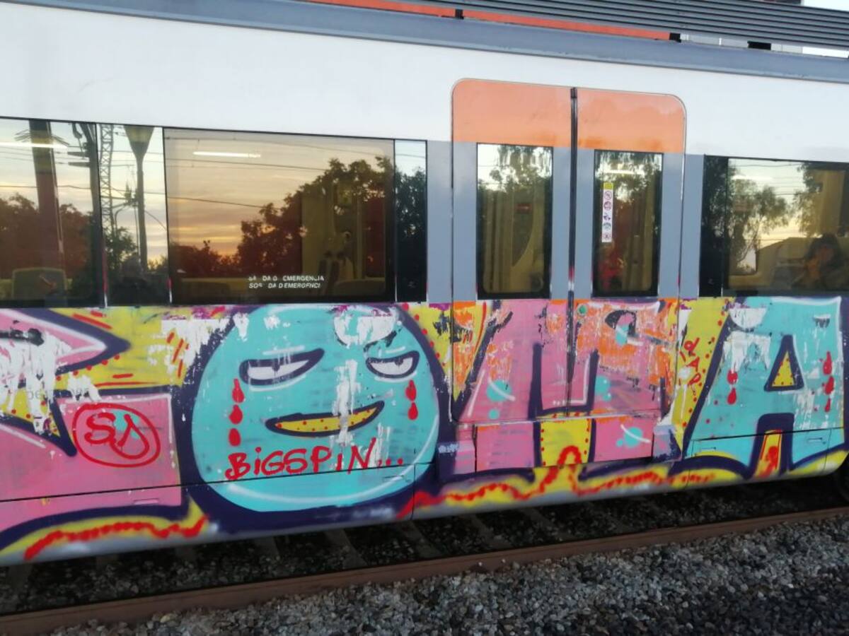 Ni el confinament ni l'estat d'alarma han aturat als grafiters