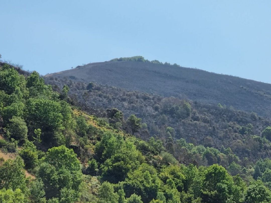 Imagen de la zona quemada por el incendio de Ezcaray.